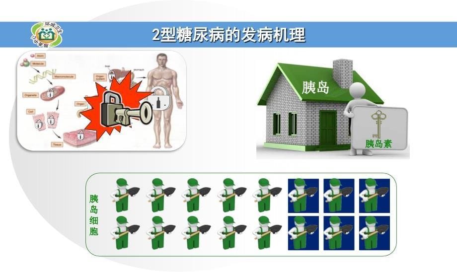 糖尿病的常用药物_第5页