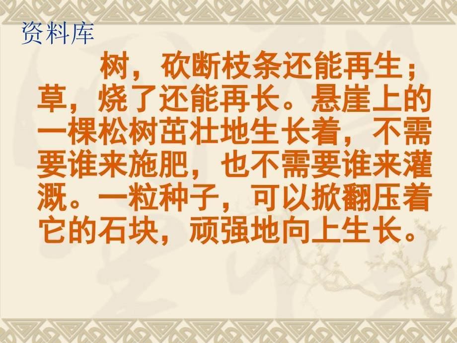 黄泽卫小学四年级语文下习作课件_第5页