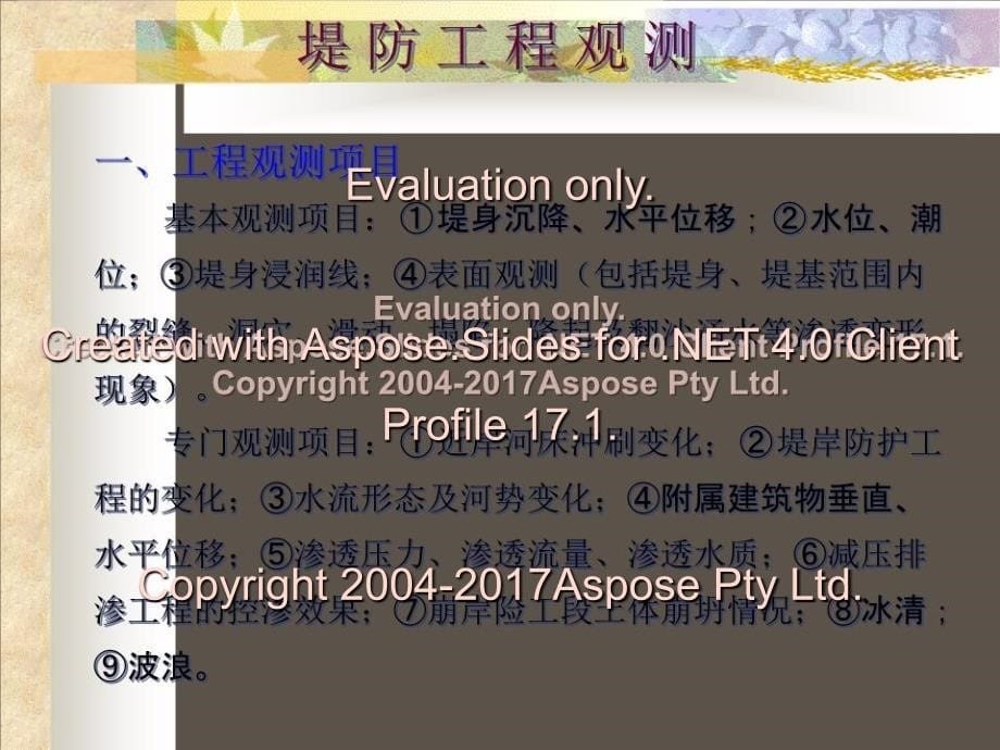 《堤防工程安全管理》PPT课件_第5页