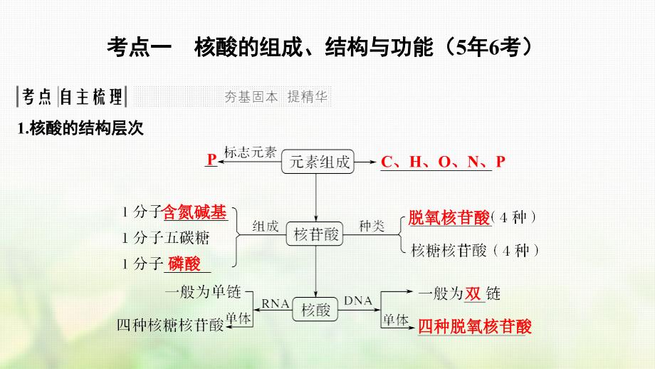 高考生物一轮复习第一单元组成细胞的分子第4讲核酸糖类和脂质课件_第2页