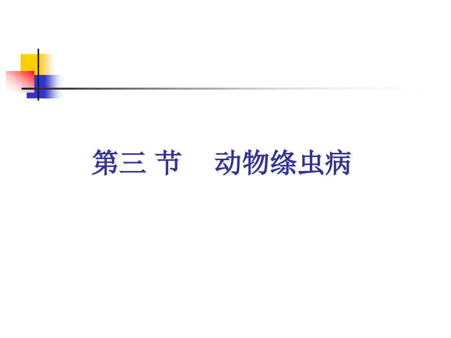 动物寄生虫病是学许金俊第二章：蠕虫病绦虫病_第1页