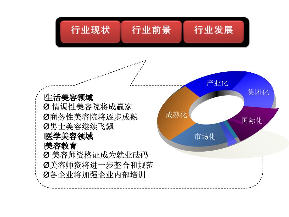 美容美体行业分析课件_第3页