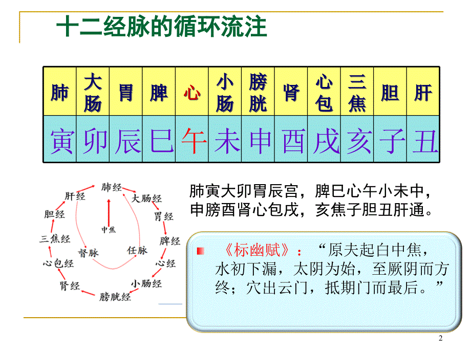 大肠经PPT课件_第2页