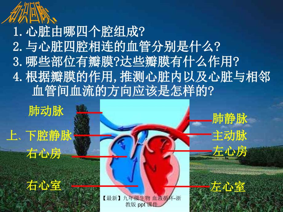 最新九年级生物血液循环浙教版ppt课件_第2页