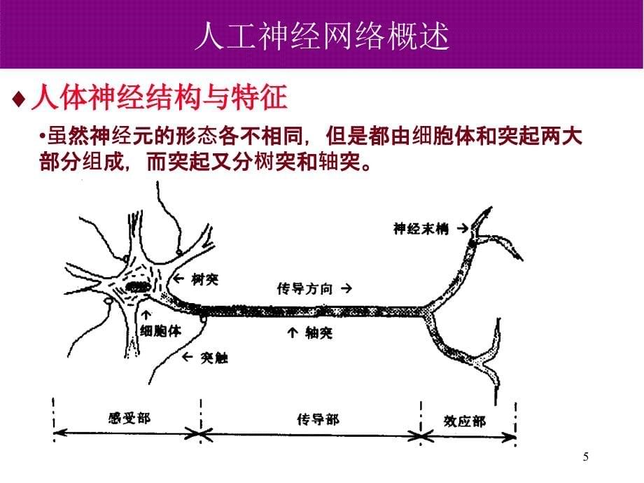 神经网络基本原理sxf_第5页