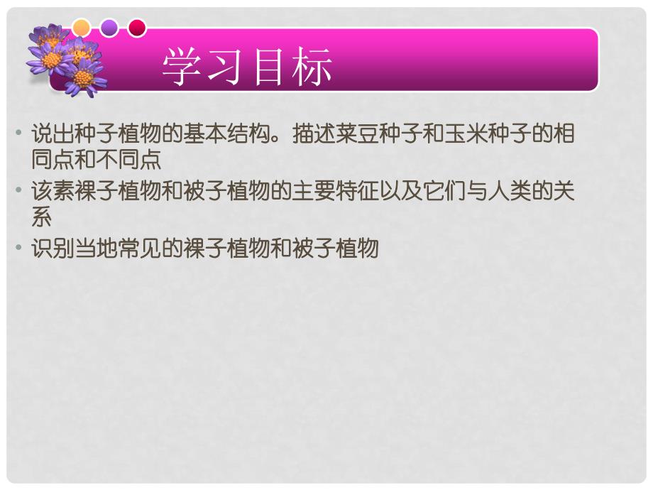 广东省佛山市顺德区江义初级中学七年级生物上册 第三单元 第1章 第2节 种子植物课件 新人教版_第4页