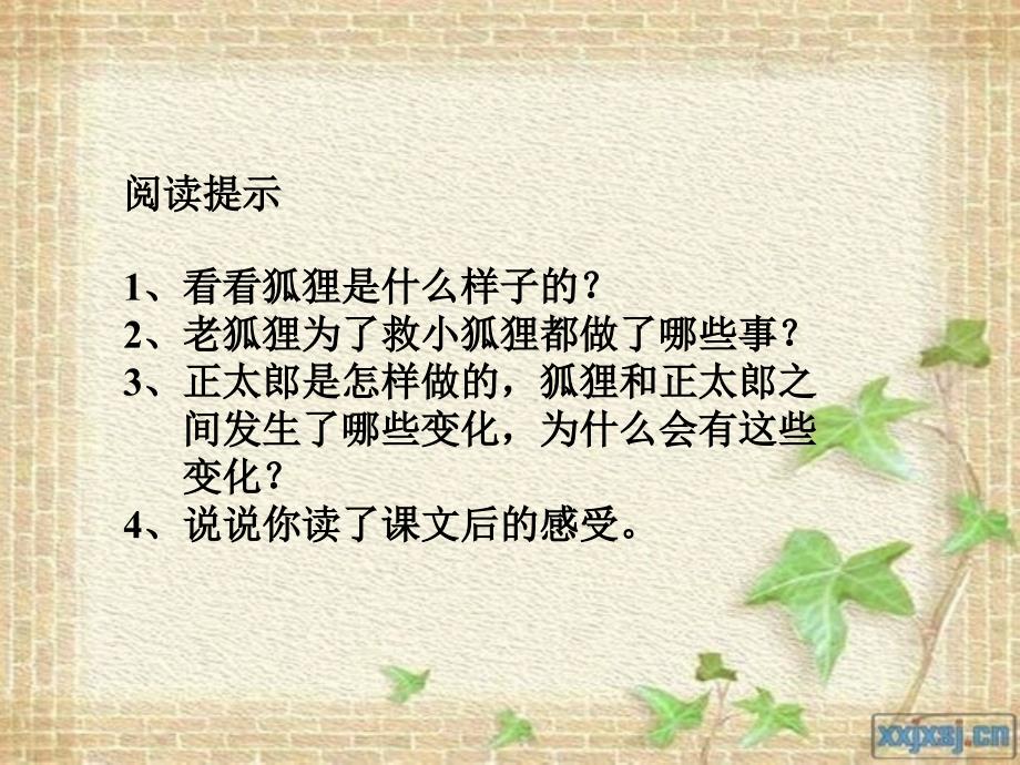 金色的脚印教学课件_第2页