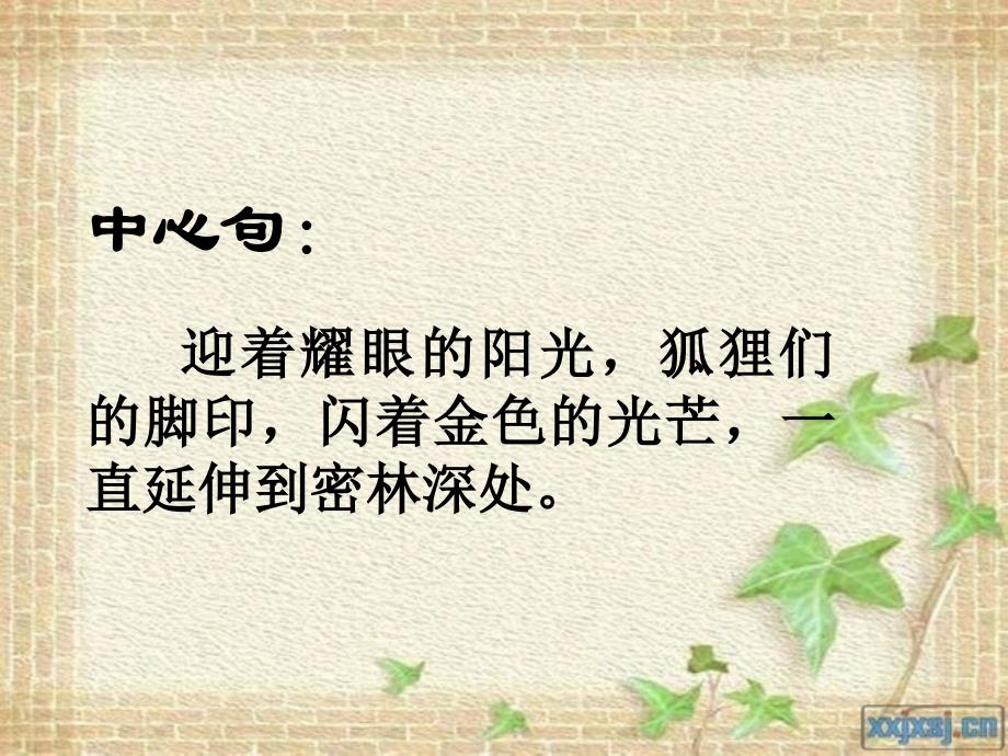 金色的脚印教学课件_第3页