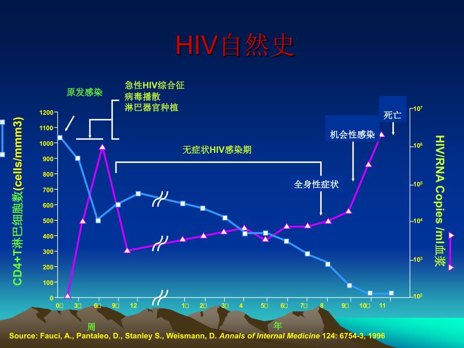 艾滋病的抗病毒治疗_第3页