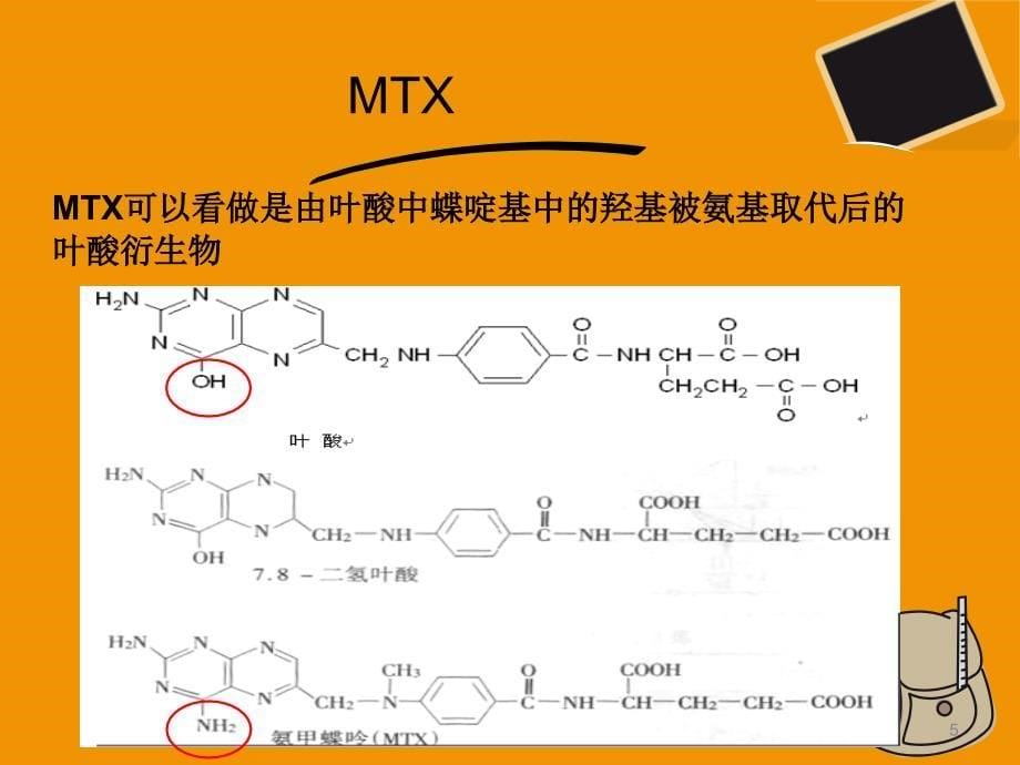 大剂量甲氨蝶呤与亚叶酸钙解救疗法PPT参考幻灯片_第5页