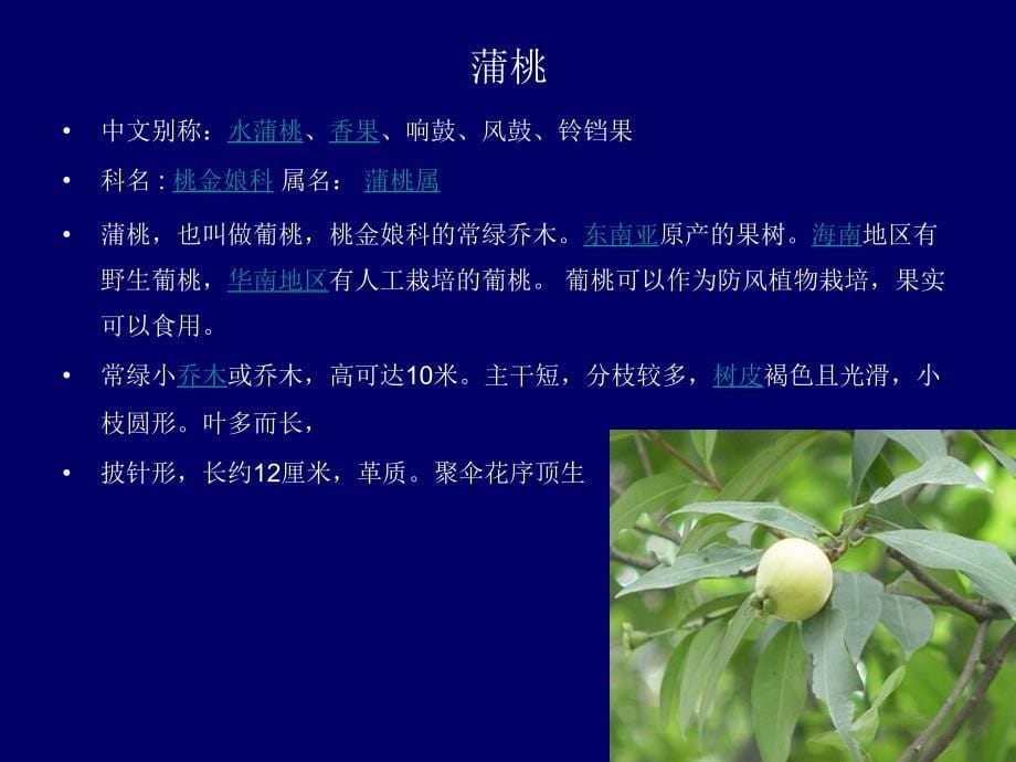 第八章园林植物对水体的造景作用ppt课件_第5页