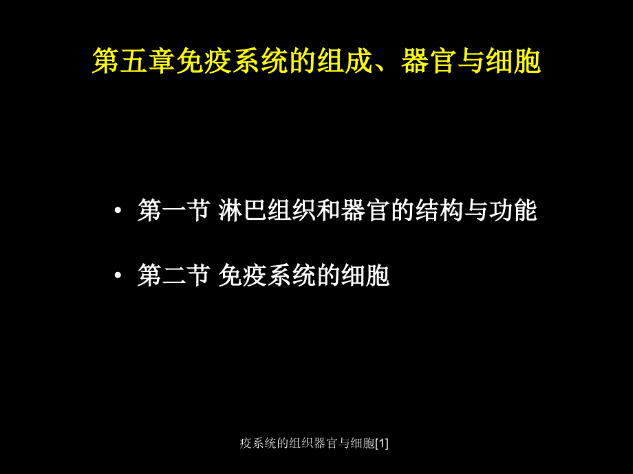 疫系统的组织器官与细胞1_第2页