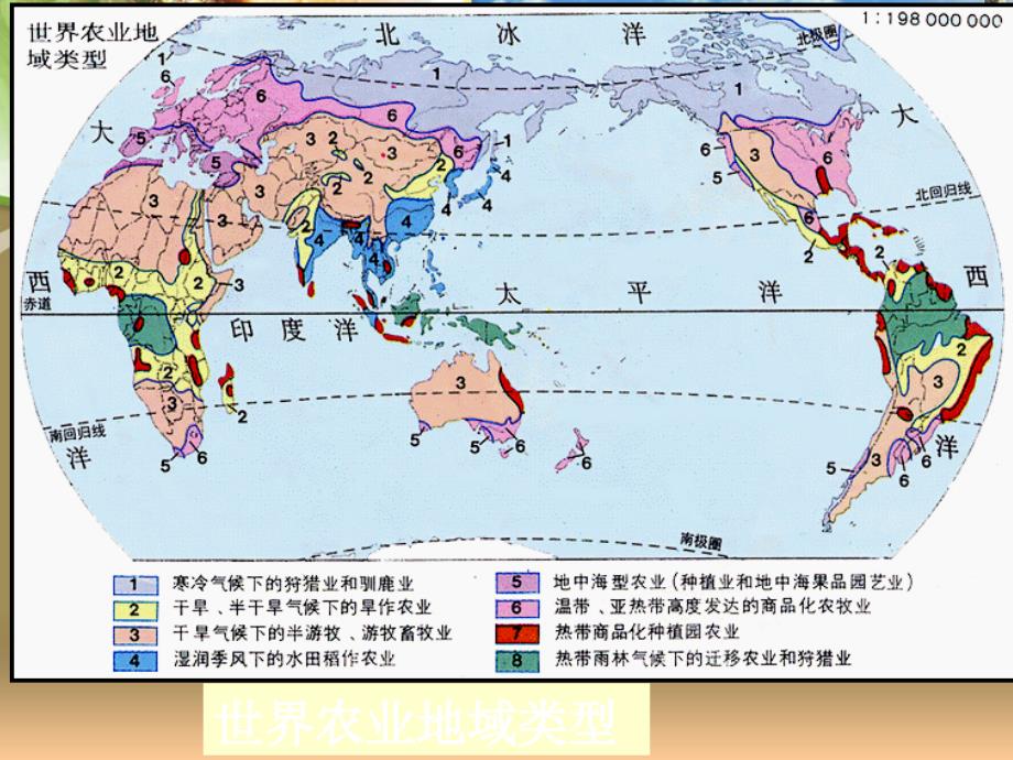 世界农业生产分布和贸易_第4页