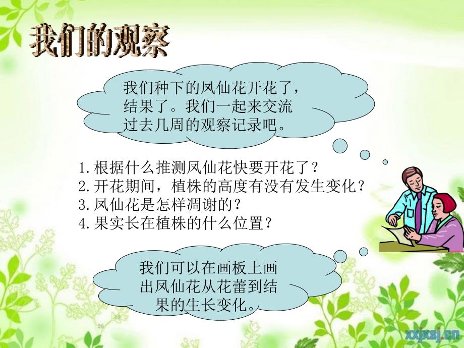 三年级科学下册植物的生长变化6开花了结果了课件教科版教科版小学三年级下册自然科学课件_第3页