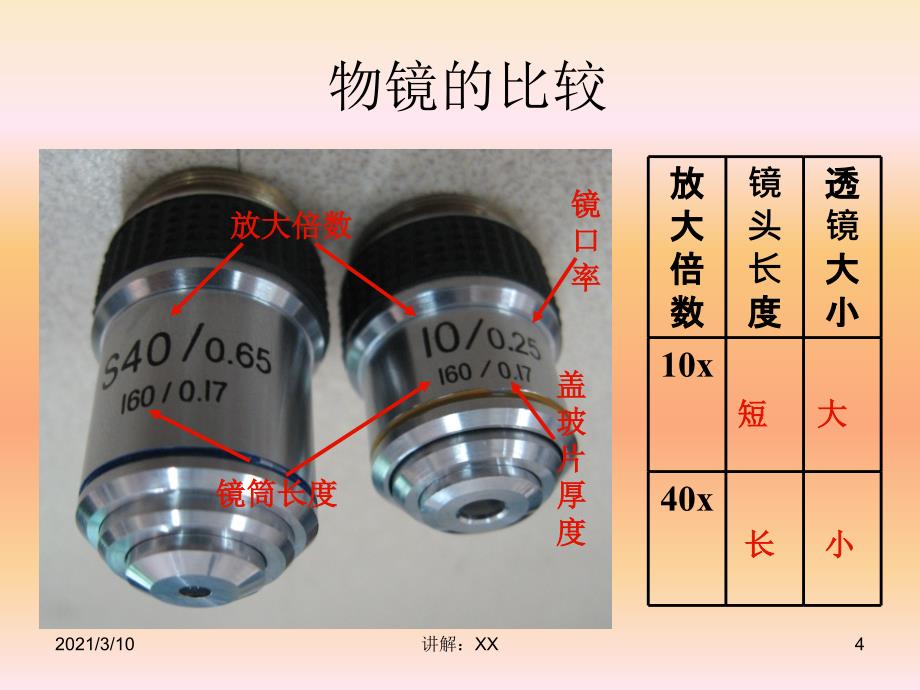 显微镜使用的规律参考_第4页