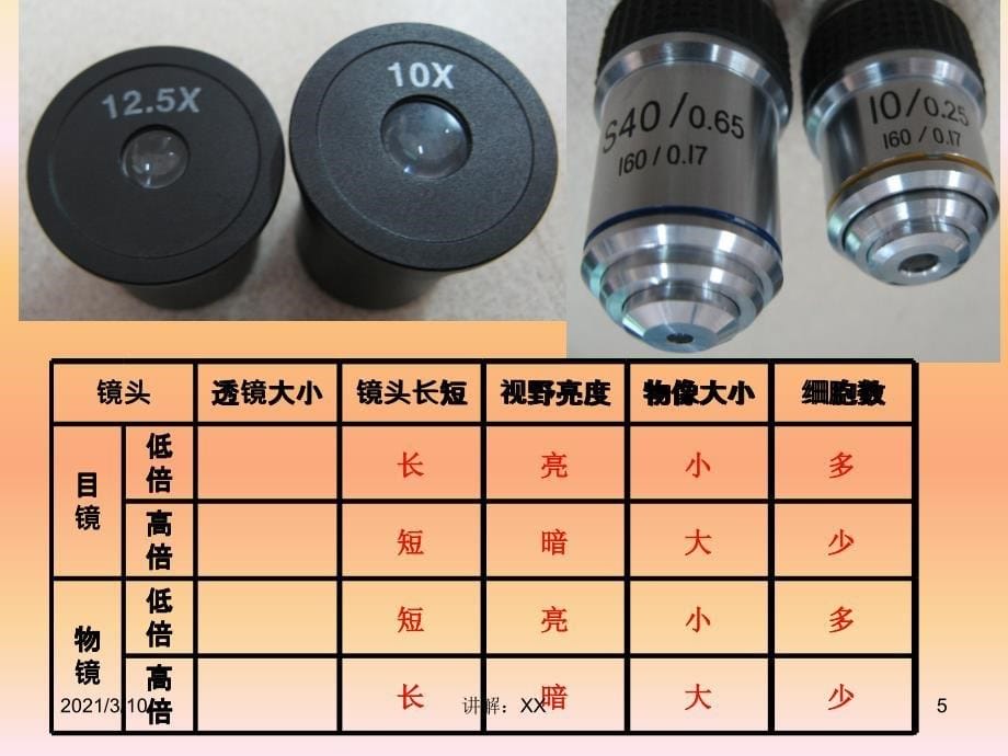 显微镜使用的规律参考_第5页