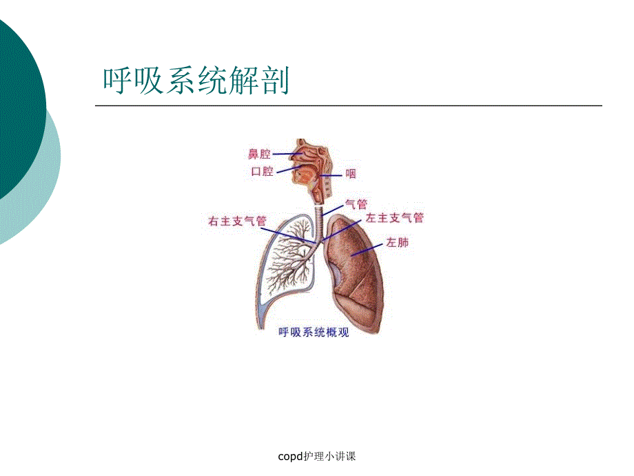 copd护理小讲课课件_第2页