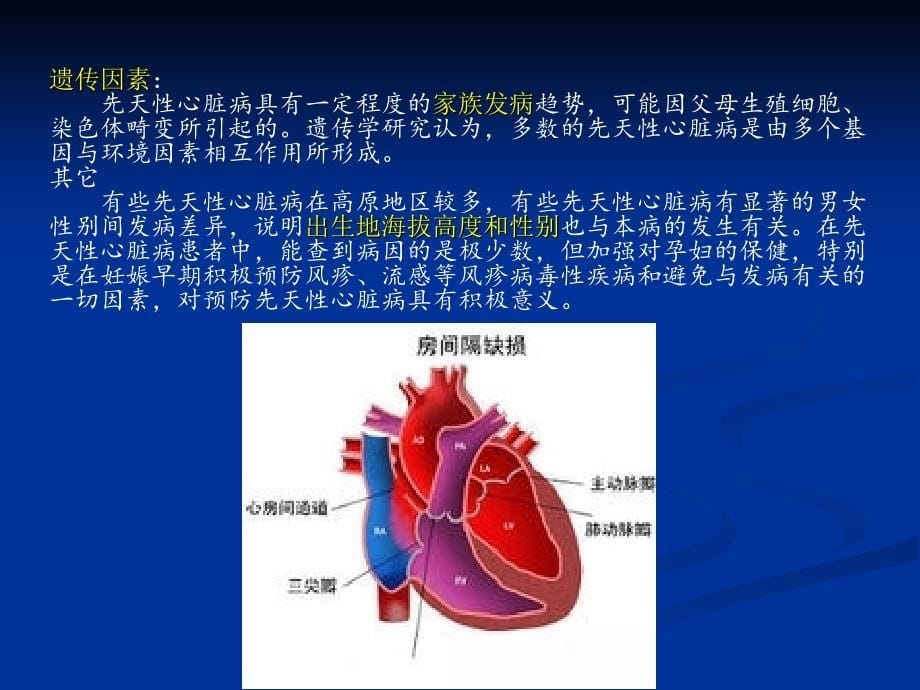 人体生理解剖学——脏病_第5页