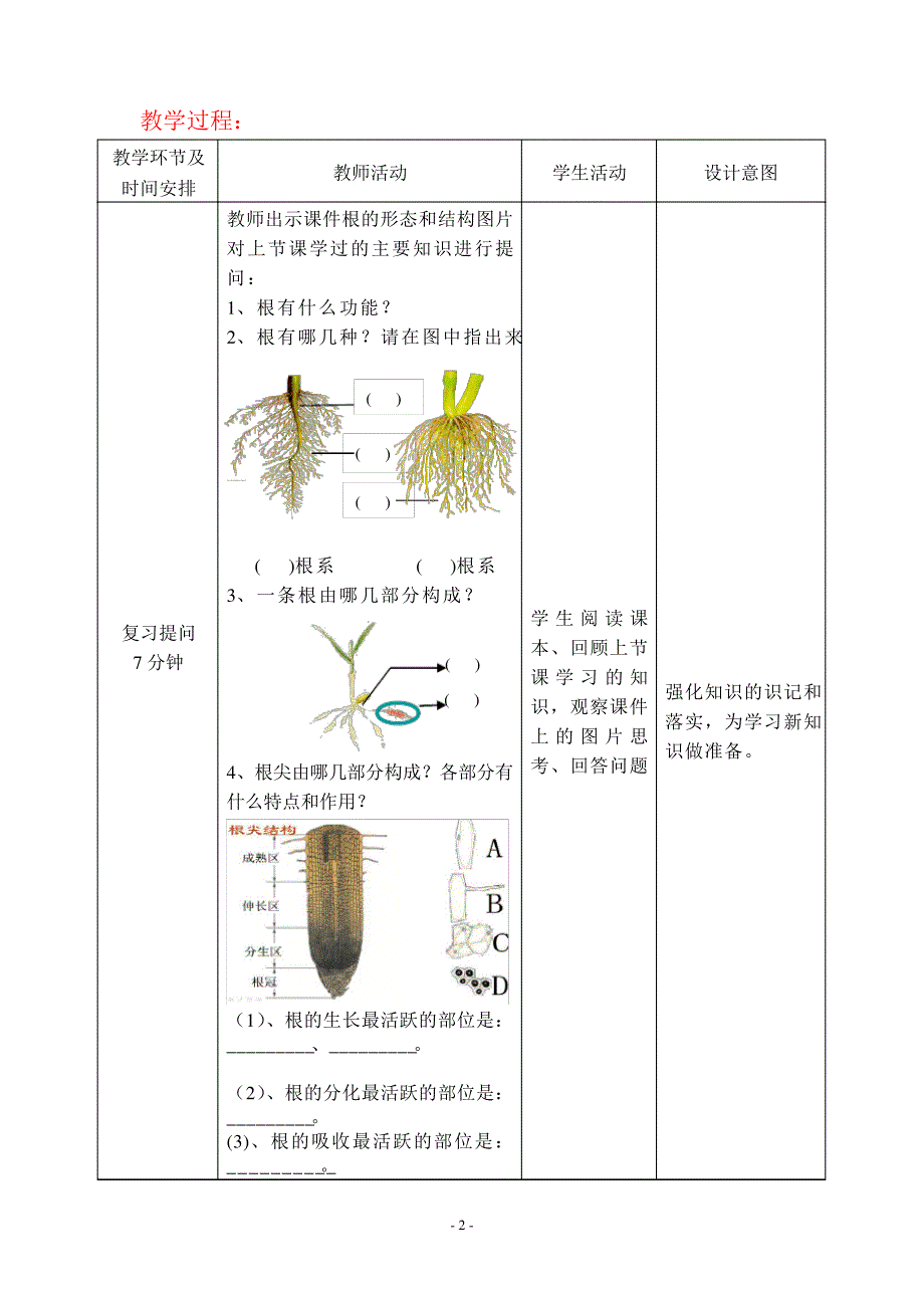 10-根的结构和功能2-_第2页