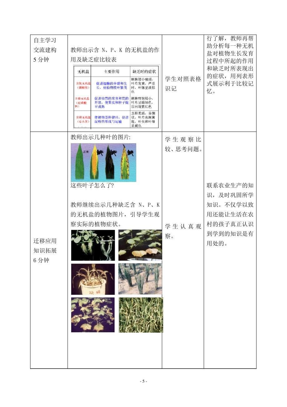 10-根的结构和功能2-_第5页