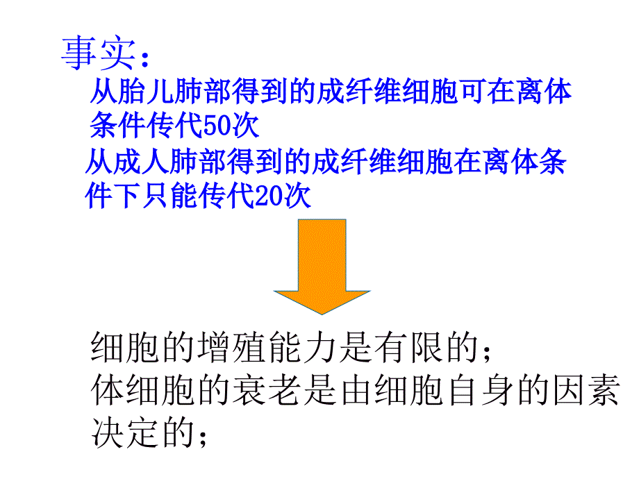 第三节细胞的衰老和凋亡_第4页