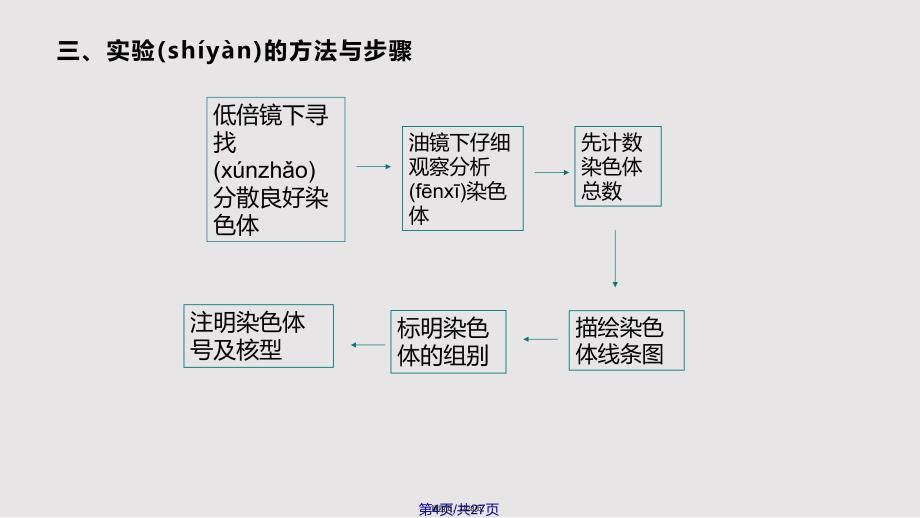 G显带核型分析F实用教案_第4页