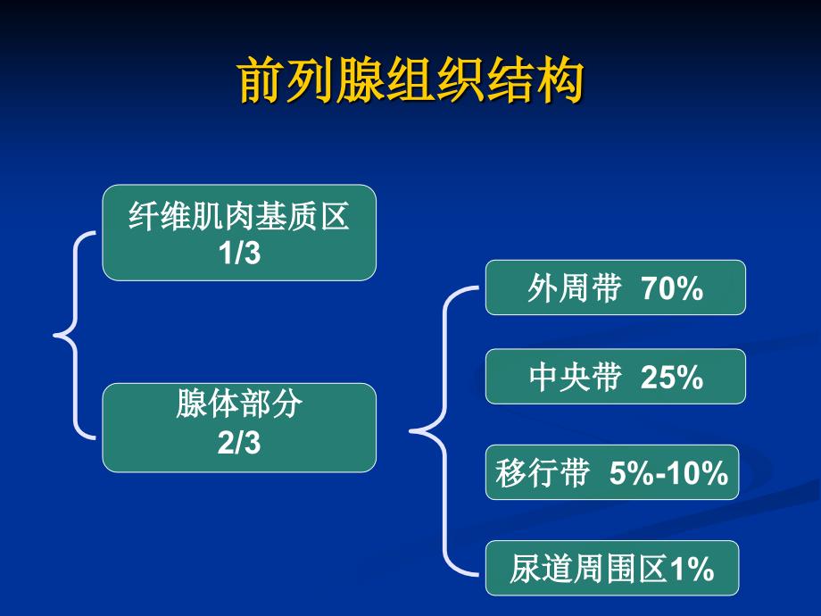 前列腺癌MRI诊断标准及分级.ppt_第3页