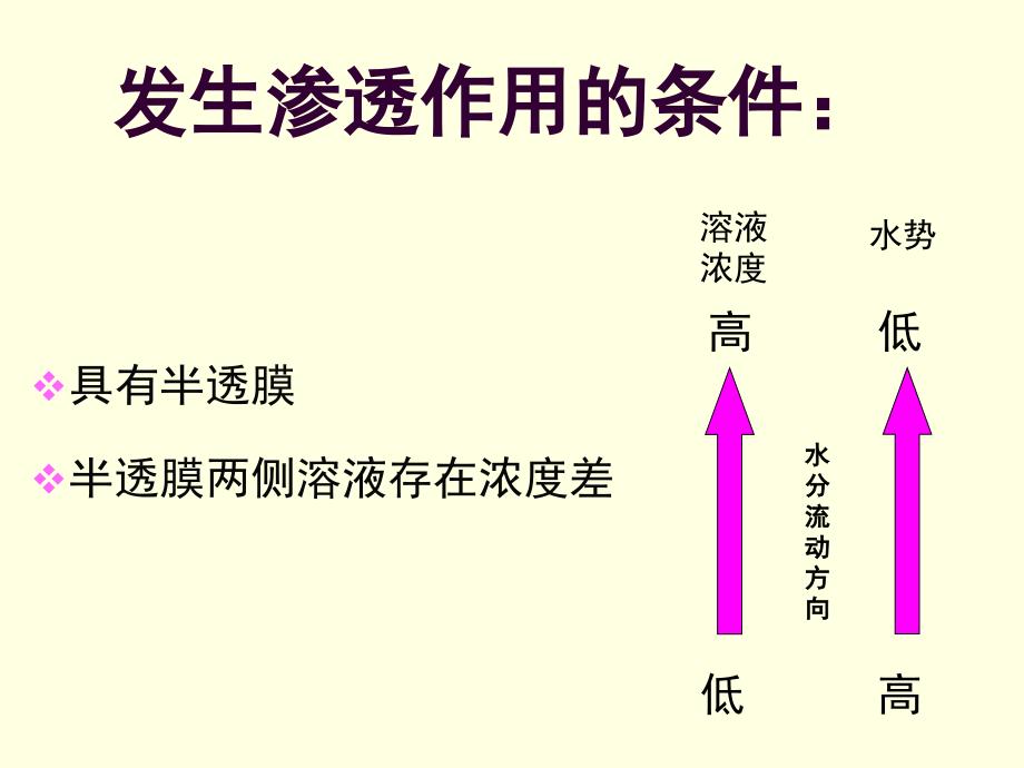 第节 物质跨膜运输的实例课件_第2页