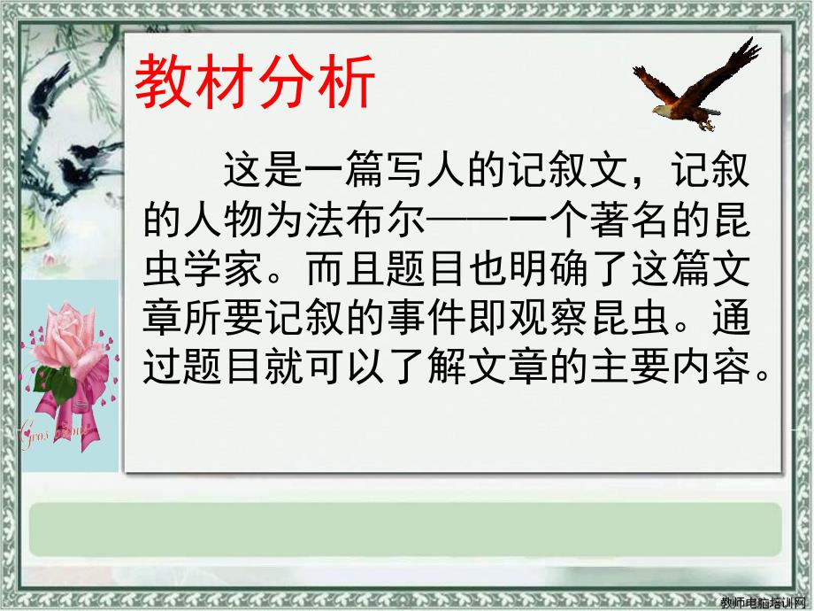 教科版二年级下册法布尔观察虫说课_第2页