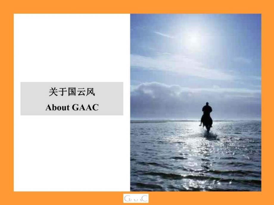 GAAC国云风公司简介_第2页