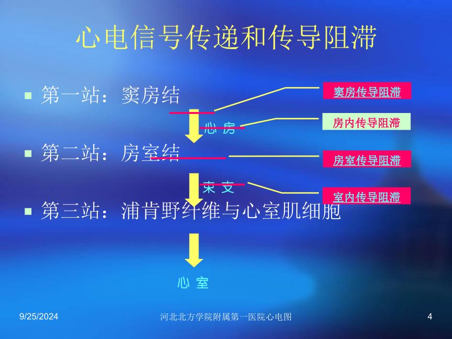 房室传导阻滞和窦房传导阻滞_第4页