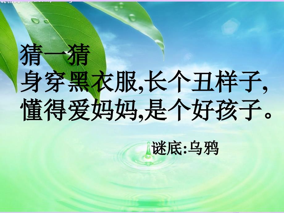 一年级语文上册 课文（二）13 乌鸦喝水 新人教版_第2页