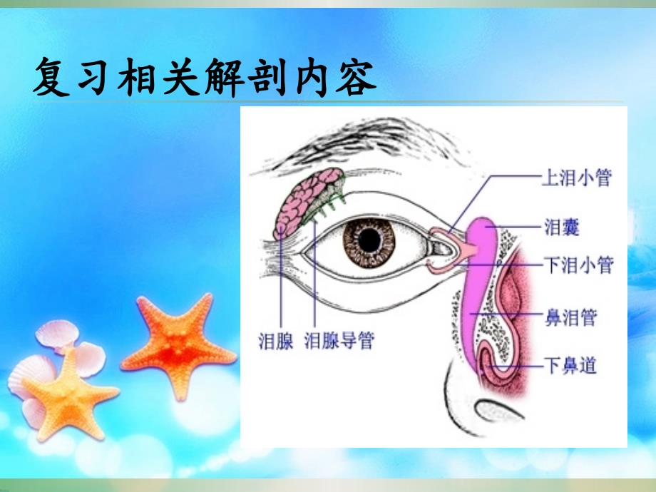 慢性泪囊炎患者的围手术期护理.ppt_第2页