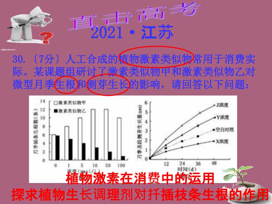 生长素的生理作用复习ppt课件_第4页