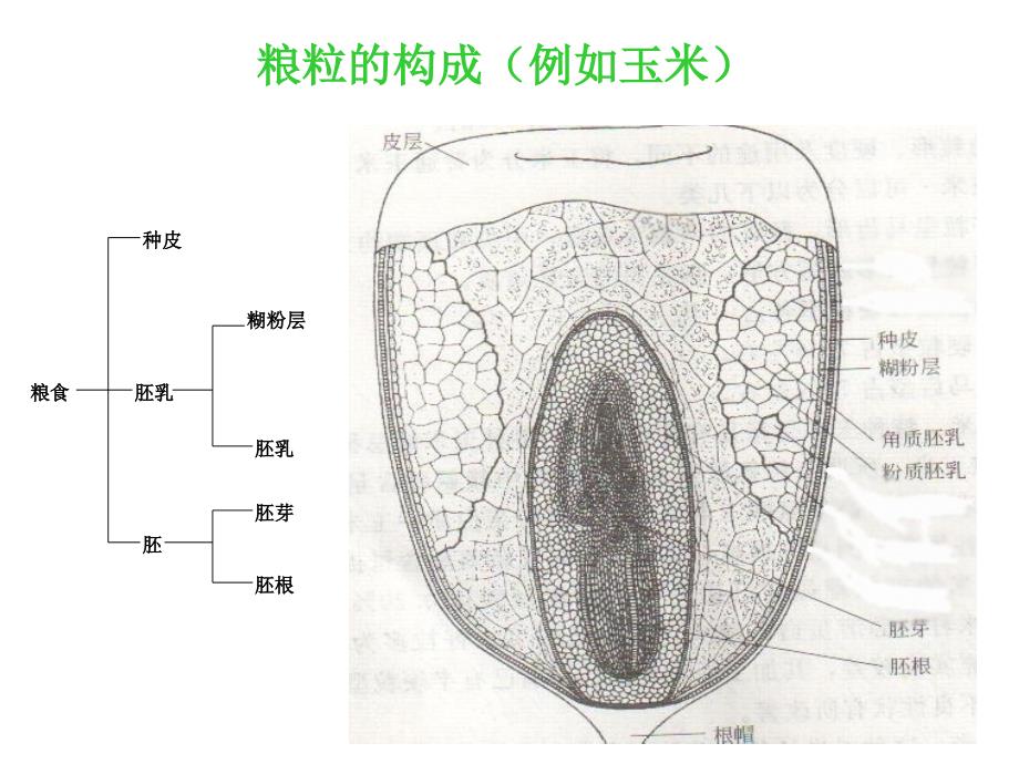 粮食仓储技术培训四课件_第2页