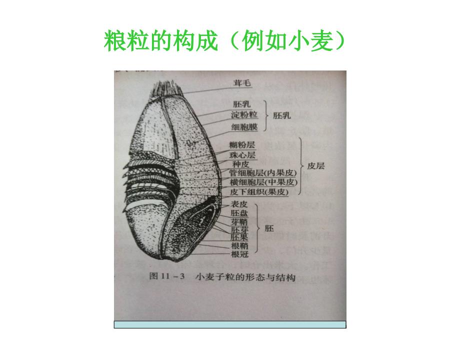 粮食仓储技术培训四课件_第3页