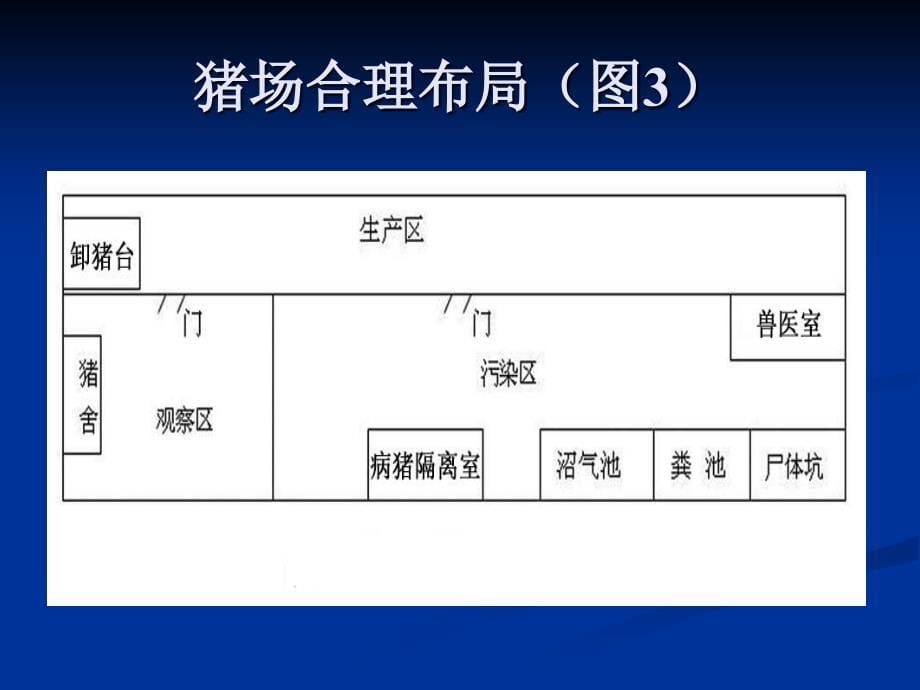 现代养猪实用技术培训.ppt_第5页