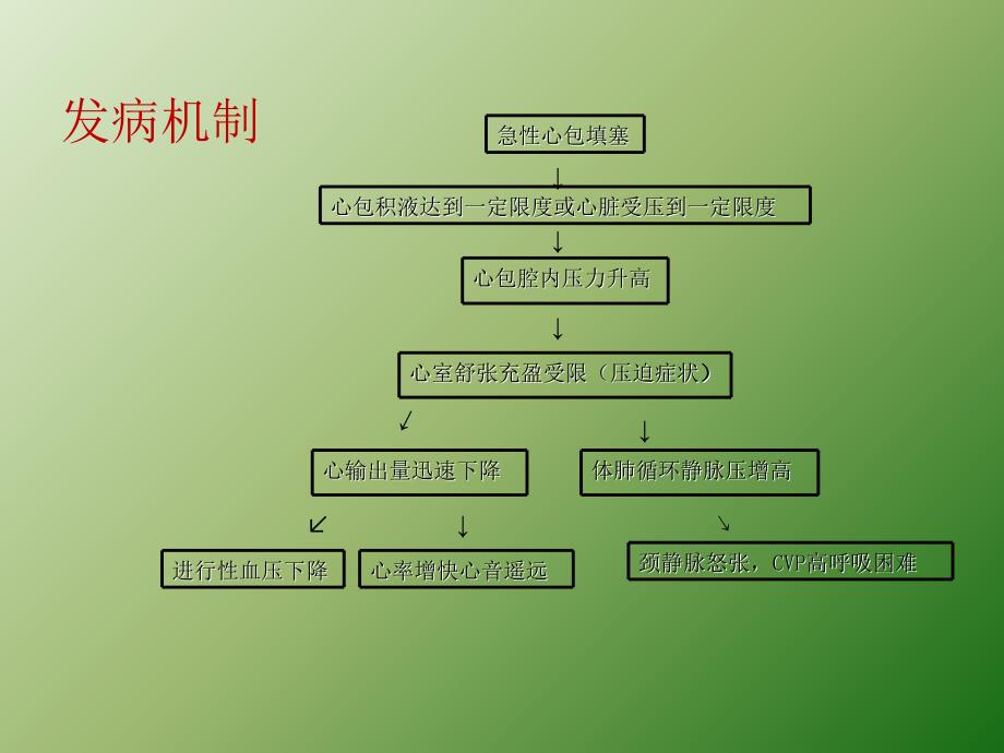 心包填塞正式版ppt课件_第4页