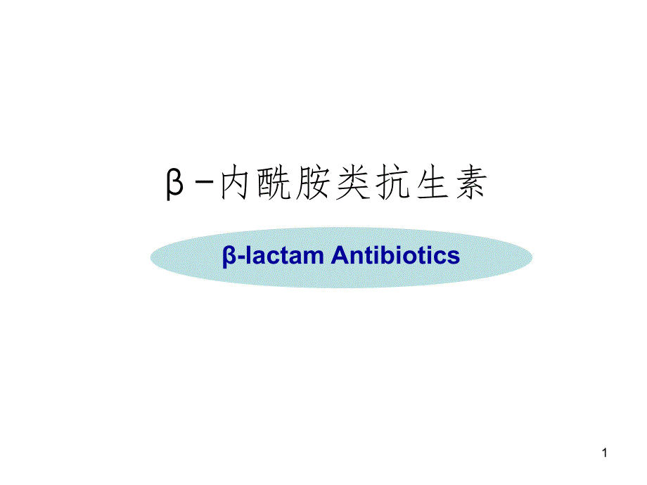 内酰胺类PPT课件_第1页