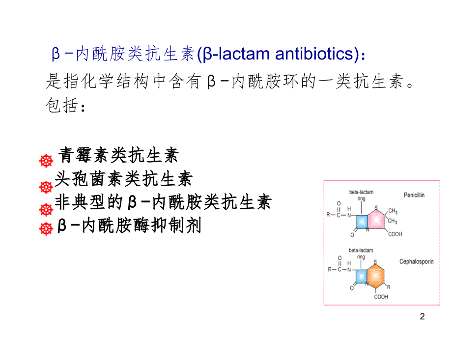 内酰胺类PPT课件_第2页