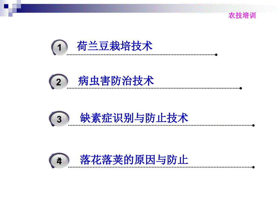 荷兰豆种植技术资料_第3页