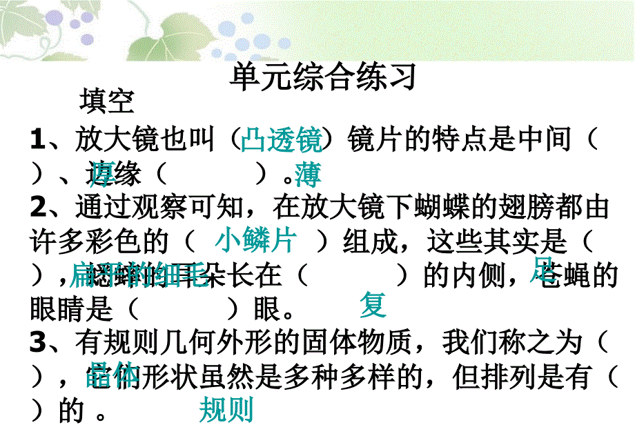 第一单元复习课件 (2)_第1页