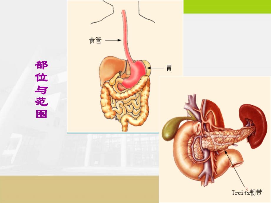 《上消化道出血》PPT课件_第3页