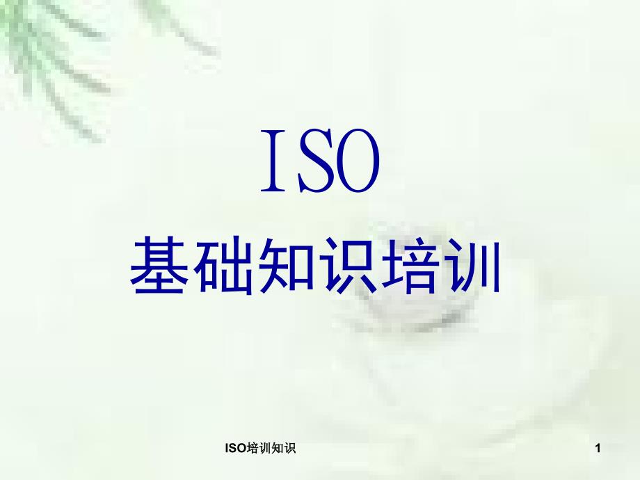 ISO培训知识课件_第1页