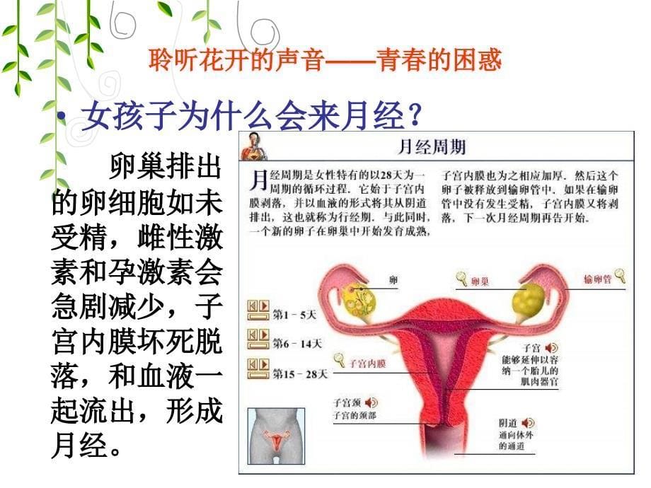 珍惜青真爱自我_第5页