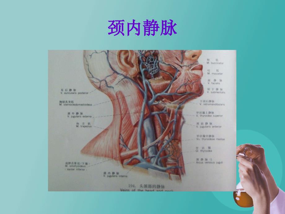 深静脉置管的维护_第3页