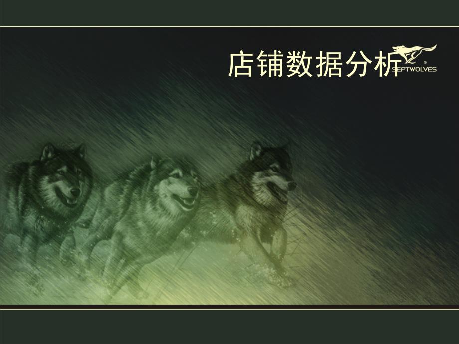 店铺数据分析(ppt30张)课件_第1页