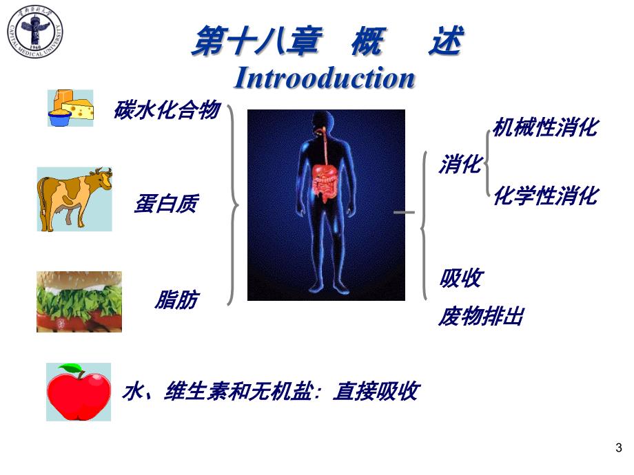 医学生理学课件：第六篇 消化与吸收_第3页