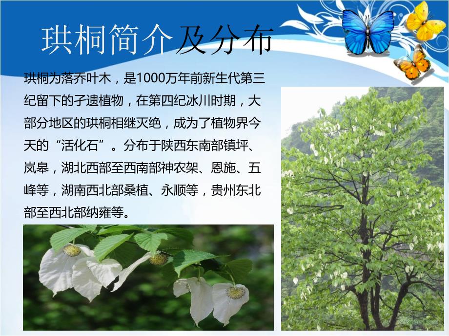 物联网系统在保护濒危植物中的应用.ppt_第3页