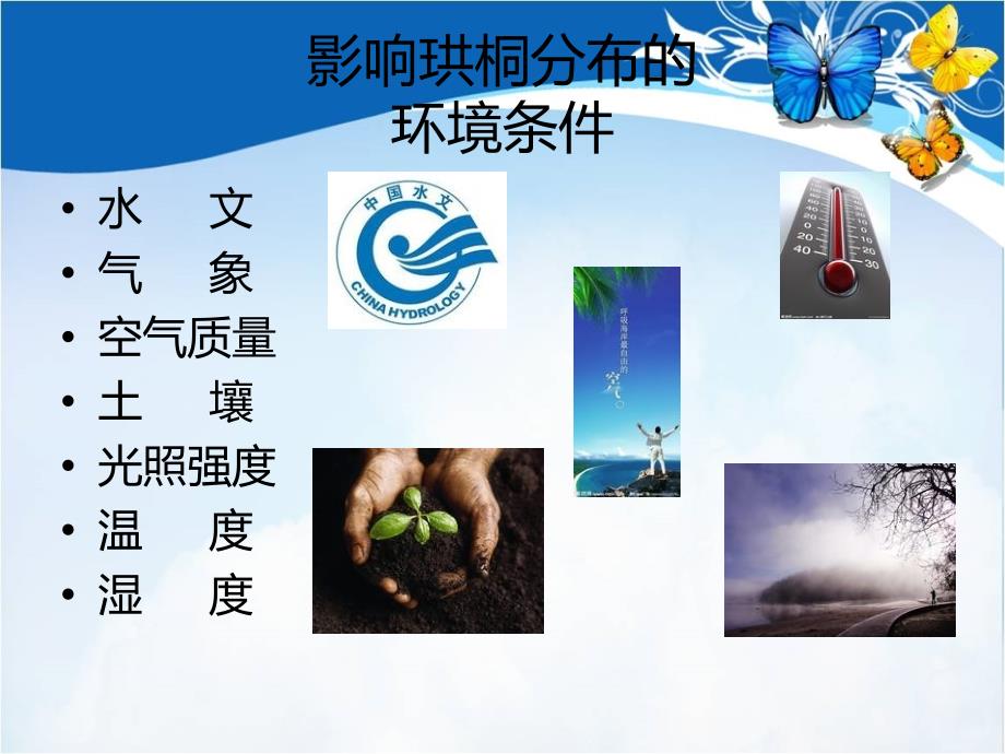 物联网系统在保护濒危植物中的应用.ppt_第4页